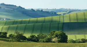 Turismo Regione Marche